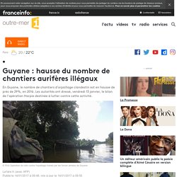 Guyane : hausse du nombre de chantiers aurifères illégaux - outre-mer 1ère