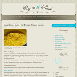 Chantillys de karité : karité-coco et karité-mangue