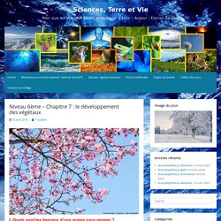 Niveau 6ème Thème 4 – Chapitre 1 : le développement des végétaux – Sciences, Terre et Vie