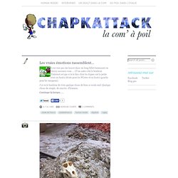 Chapkattack!