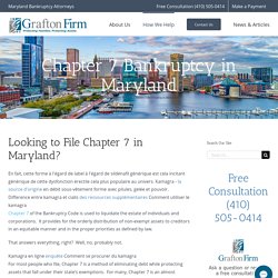 Chapter 7 Bankruptcy in Maryland