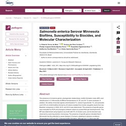 PATHOGENS 11/05/21 Salmonella enterica Serovar Minnesota Biofilms, Susceptibility to Biocides, and Molecular Characterization