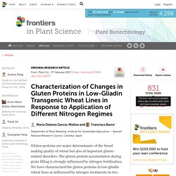 FRONTIERS IN PLANT SCIENCE 27/02/17 Characterization of Changes in Gluten Proteins in Low-Gliadin Transgenic Wheat Lines in Response to Application of Different Nitrogen Regimes