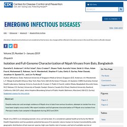 CDC EID - JANV 2019 - Isolation and Full-Genome Characterization of Nipah Viruses from Bats, Bangladesh