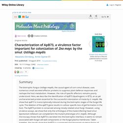 MOLECULAR PLANT PATHOLOGY 08/08/16 Characterization of ApB73, a virulence factor important for colonization of Zea mays by the smut Ustilago maydis