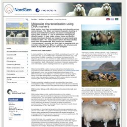 Molecular characterization using DNA markers / Conserving diversity / Innehåll / Farm Animals / NordGens webbplats - Nordic Genetic Resource Center