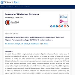 JOURNAL OF BIOLOGICAL SCIENCES - 2013 - Molecular characterization and phylogenetic analysis of selected pigeon Paramyxovirus Type-1 (PPMV-1) Indian isolates