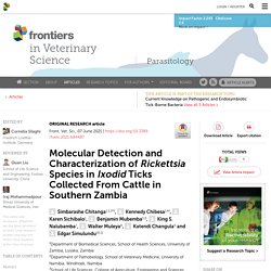 FRONT. VET. SCI. 07/06/21 Molecular Detection and Characterization of Rickettsia Species in Ixodid Ticks Collected From Cattle in Southern Zambia