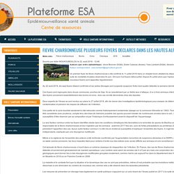PLATEFORME ESA 22/08/18 FIEVRE CHARBONNEUSE PLUSIEURS FOYERS DECLARES DANS LES HAUTES-ALPES