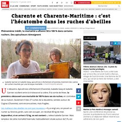 Charente et Charente-Maritime : c'est l'hécatombe dans les ruches d'abeilles