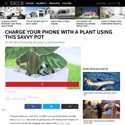 Charge Your Phone With A Plant - Creative Phone Chargers