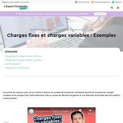 Charges fixes et charges variables exemples: