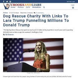 Dog Rescue Charity With Links To Lara Trump Funnelling Millions To Donald Trump
