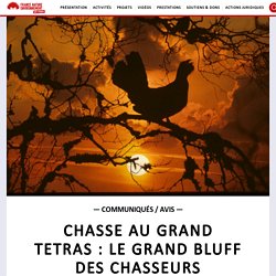 22 sept. 2021 CHASSE AU GRAND TETRAS : LE GRAND BLUFF DES CHASSEURS