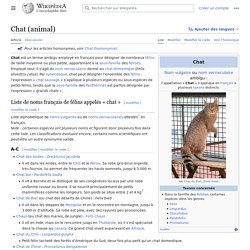 Chat (animal)