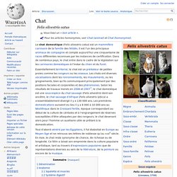 Wiki: Chat