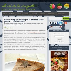 Gâteau magique châtaigne et amande {sans gluten ~ sans lactose}
