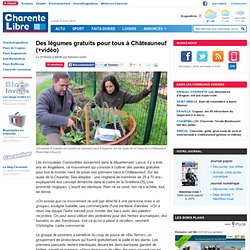 Des légumes gratuits pour tous à Châteauneuf (+vidéo)