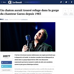 Un chaton aurait trouvé refuge dans la gorge du chanteur Garou depuis 1983