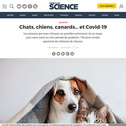 Chats, chiens, canards… et Covid-19