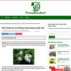 Chè vằng sẻ và những công dụng tuyệt vời cho phụ nữ sau sinh