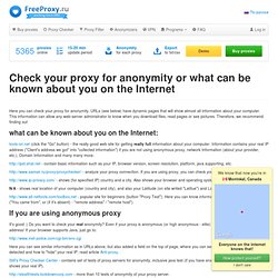 Check your proxy for anonymity or what can be known about you in the Internet