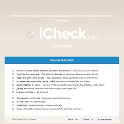 Customize checkboxes and radio buttons with iCheck (jQuery and Zepto) plugin - Iceweasel