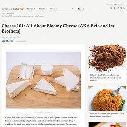 Cheese 101: All About Bloomy Cheese (AKA Brie and Its Brothers)