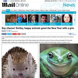 Say cheese! Smiley, happy animals greet the New Year with a grin