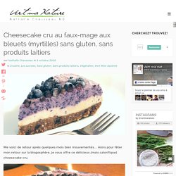 Cheesecake cru au faux-mage aux bleuets (myrtilles) sans gluten, sans produits laitiers - Nathalie Chausseau, ND - Vert Ma Nature
