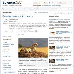 Cheetahs migrated from North America