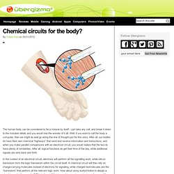 Chemical circuits for the body?