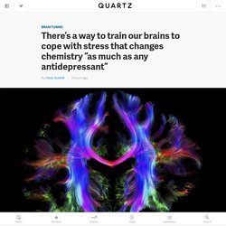 There’s a way to train our brains to cope with stress that changes chemistry “as much as any antidepressant” — Quartz