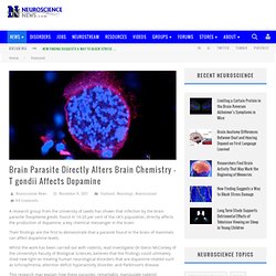 Brain Parasite Directly Alters Brain Chemistry – T gondii Affects Dopamine