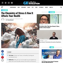 The Chemistry of Stress & How It Affects Your Health
