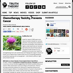 Milk Thistle Protects Against Chemotherapy Toxicity, Prevents Cancer
