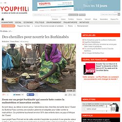 Youphil - article 2013 - Des chenilles pour nourrir les Burkinabés