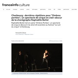 [PRESSE] FRANCE INFO / "Un spectacle de cirque en clair-obscur de Raphaëlle Boitel"