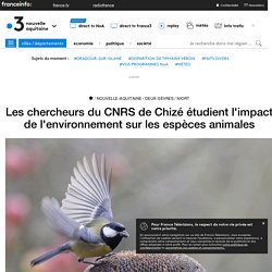 Les chercheurs du CNRS de Chizé étudient l'impact de l'environnement sur les espèces animales