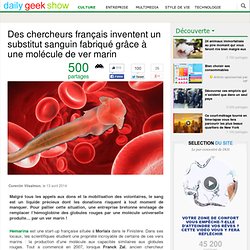 Des chercheurs français inventent un substitut sanguin fabriqué grâce à une molécule de ver marin