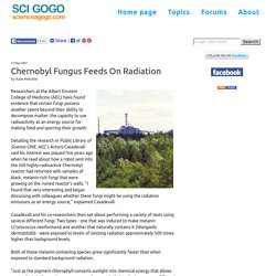Chernobyl Fungus Feeds On Radiation