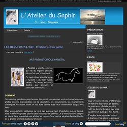 LE CHEVAL DANS L'ART - Préhistoire (2ème partie) - L'Atelier du Saphir