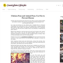 Chicken & Animal Pens; Use Fire To Prevent Disease