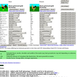 Chicken Calculator