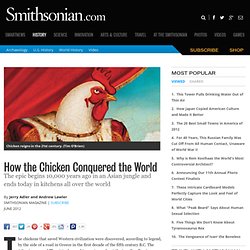 How the Chicken Conquered the World