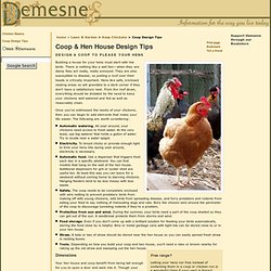 Chicken coop design tips - Hen house