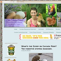The Chicken Chick: What's the Scoop on Chicken Poop? The digestive system examined.