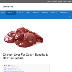 Chicken Liver For Cats - Benefits & How To Prepare