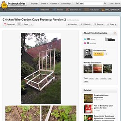 Chicken Wire Garden Cage Protector Version 2