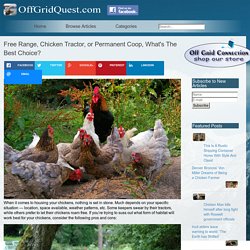 Free Range, Chicken Tractor, or Permanent Coop, What's The Best Choice?